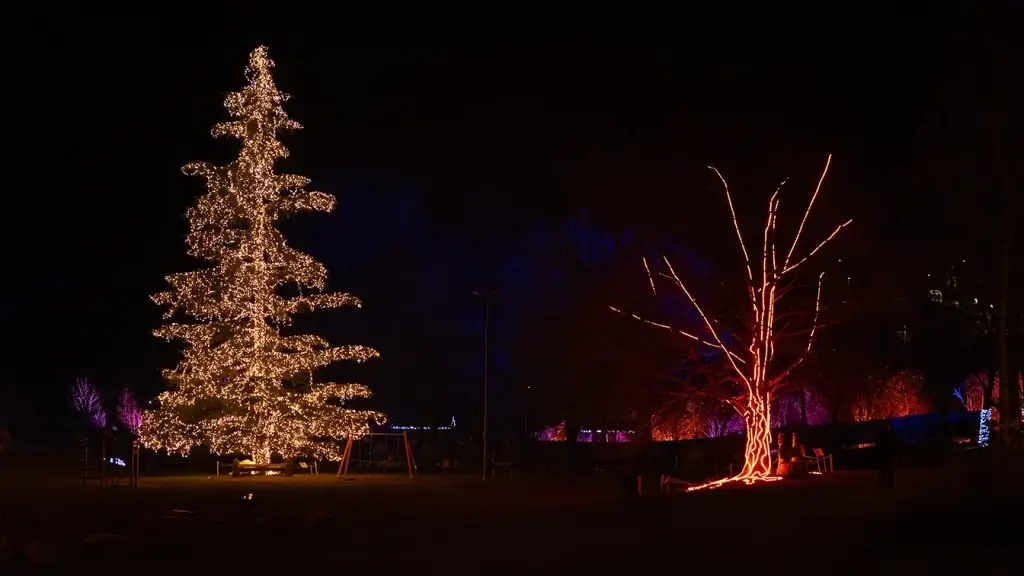 Installazione Luminosa Parco Res